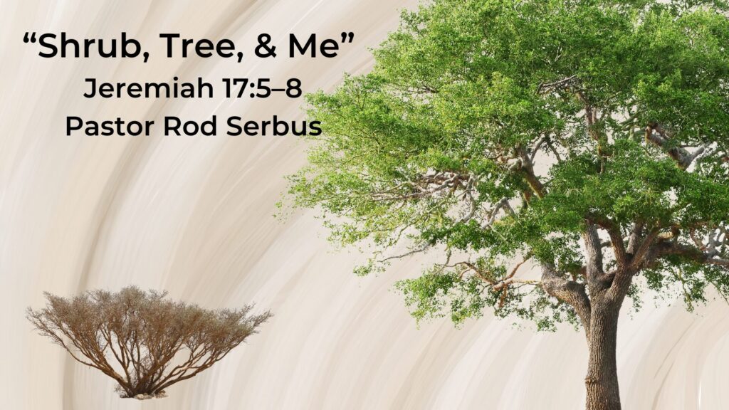 “Shrub, Tree & Me”