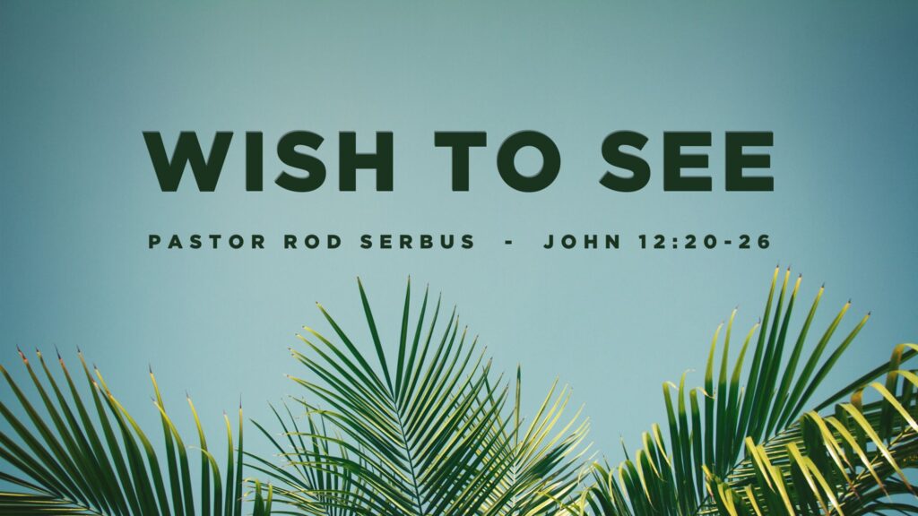 “Wish to See”