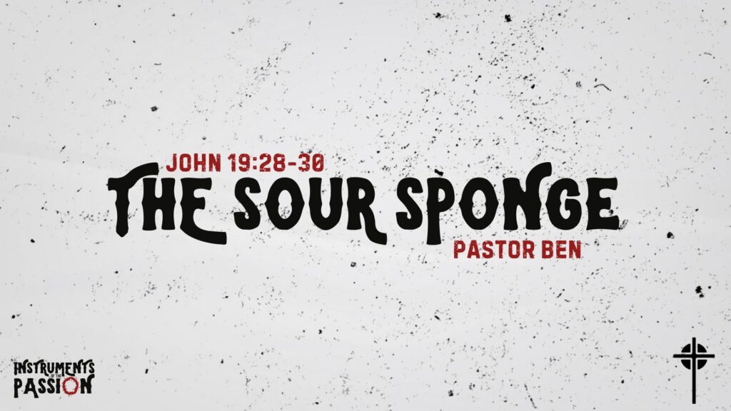 “The Sour Sponge”