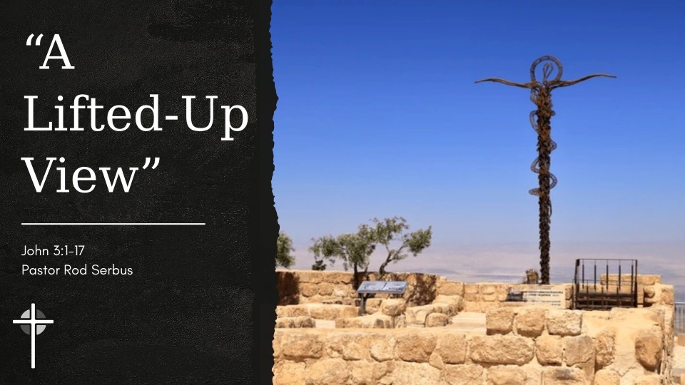 “A Lifted-Up View”