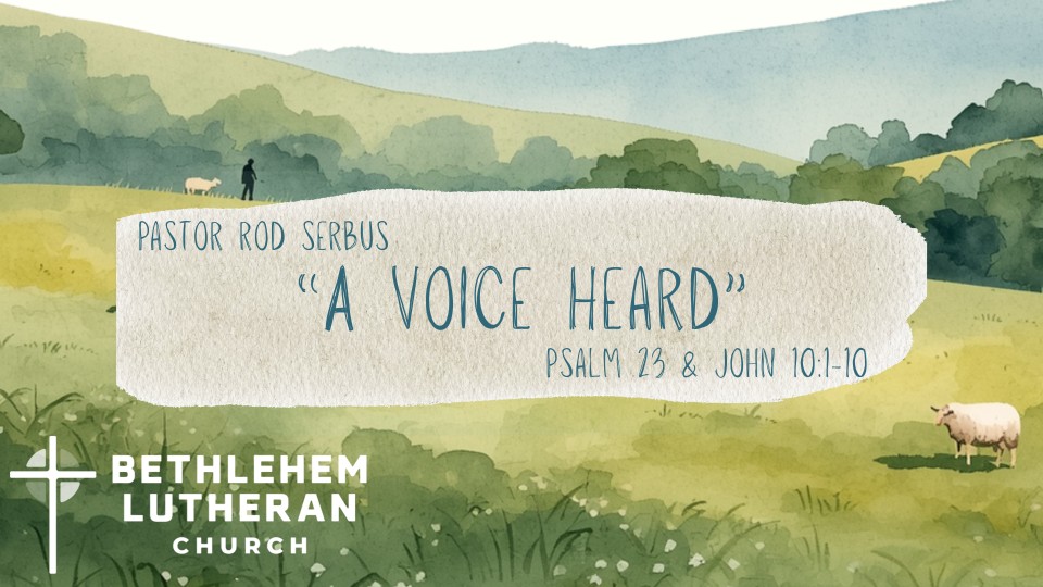 “A Voice Heard”