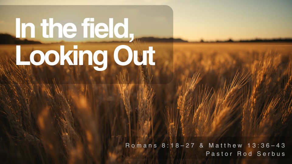 “In the Feild, Looking Out”